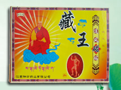 藏王追風磁貼