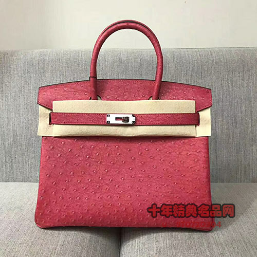 專業的鴕鳥皮純手工Birkin30 幫助您擁抱時尚