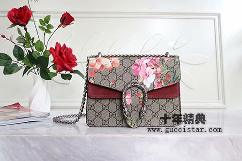 最全的古奇鏈條包女士單肩包圖片
